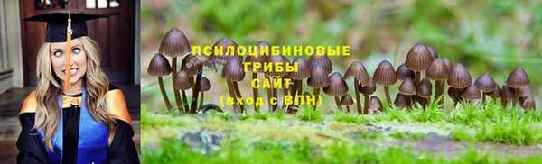 стаф Абинск